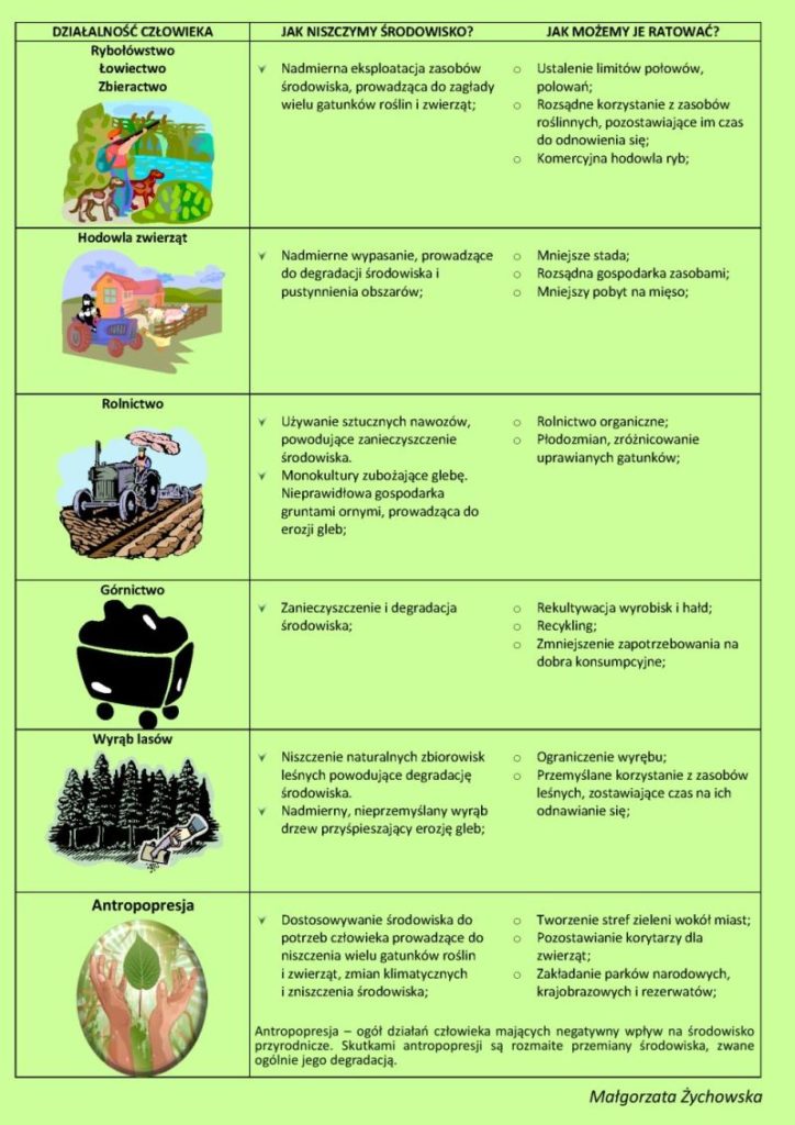 Ekologia Notatki Geografia 4662